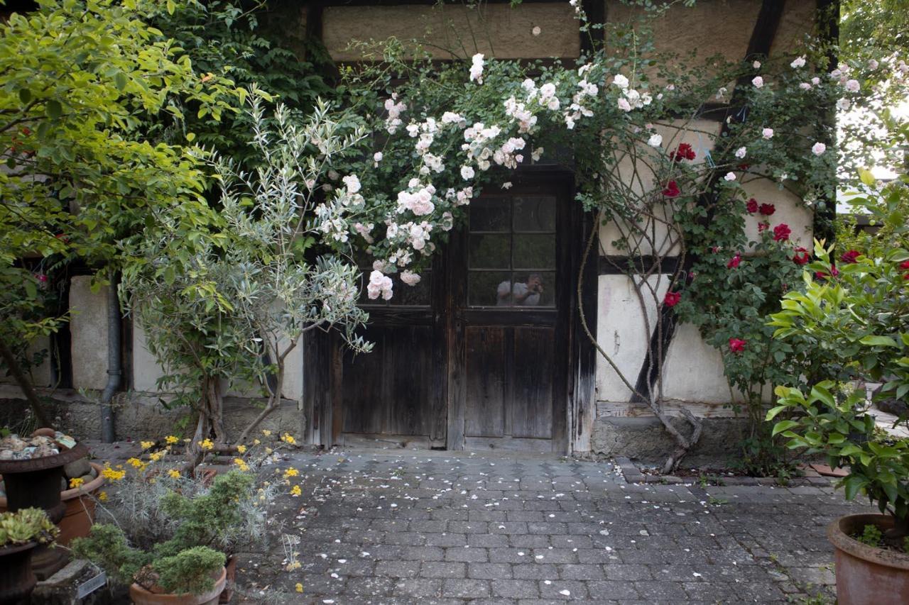 Villaflora Gaestehaus Riedlingen Eksteriør bilde